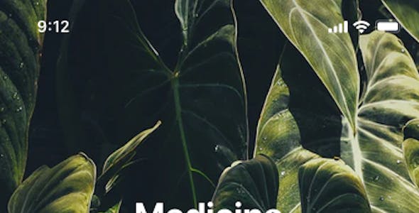 網站開發中，如何高效地使用數據庫
