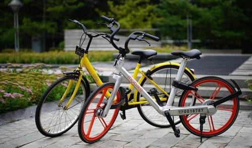德媒說共享單車不賺錢 那么提供免費資訊的網站就更不賺錢了