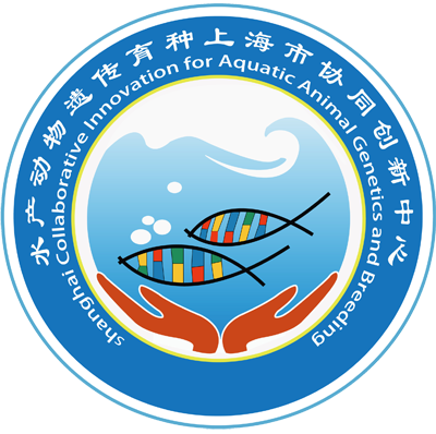 優秀的網站設計需要溝通 如何讓用戶滿意呢